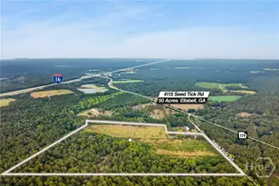 4115 Seed Tick Rd, Ellabell, GA 31308 - Photo 4