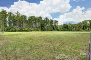 755 Elbert Arnsdorff Rd, Springfield, GA 31329 - Photo 72