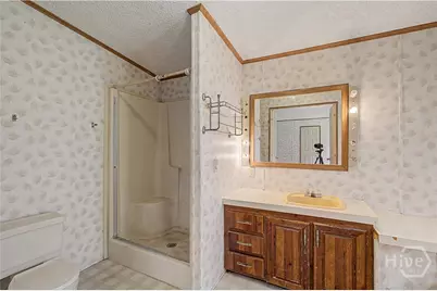 729 Reedsville Road, Clyo, GA 31303 - Photo 46