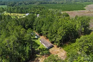 729 Reedsville Rd, Clyo, GA 31303 - Photo 70