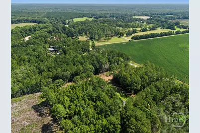 729 Reedsville Road, Clyo, GA 31303 - Photo 62