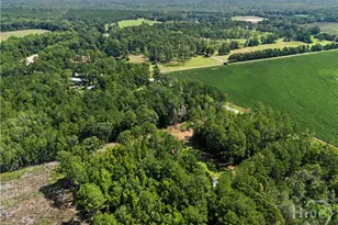 729 Reedsville Rd, Clyo, GA 31303 - Photo 62