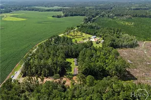729 Reedsville Rd, Clyo, GA 31303 - Photo 68