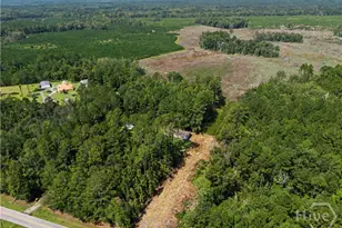 729 Reedsville Rd, Clyo, GA 31303 - Photo 76
