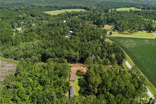 729 Reedsville Rd, Clyo, GA 31303 - Photo 60