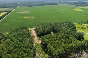 729 Reedsville Rd, Clyo, GA 31303 - Photo 66