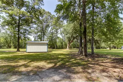 3289 Lot B Eldora Road, Ellabell, GA 31308 - Photo 6