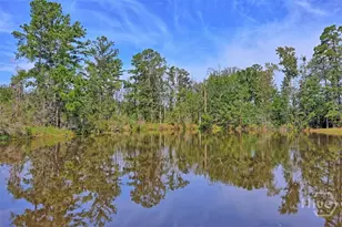 55 Belle Gate Ct, Pooler, GA 31322 - Photo 56