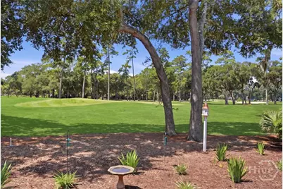 6 Sea Eagle Court, Savannah, GA 31411 - Photo 40