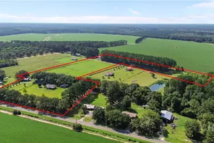 2727 Stanfield Rd, Screven, GA 31560 - Photo 6