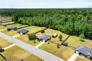 52 Pine View Dr SE, Ludowici, GA 31316 - Photo 28