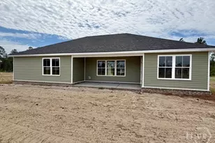 668 Belfast Loop, Ellabell, GA 31308 - Photo 20