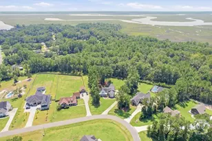 225 Maddy Way, Richmond Hill, GA 31324 - Photo 62