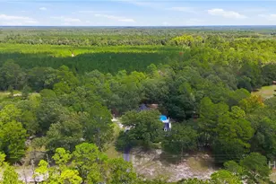 312 I G Lanier Rd, Pembroke, GA 31321 - Photo 32