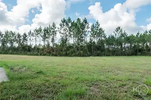 446 NE McClelland, Ludowici, GA 31316 - Photo 56