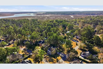 101 Hedge Nettle Crossing, Savannah, GA 31406 - Photo 50