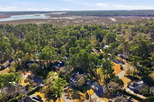 101 Hedge Nettle Crossing, Savannah, GA 31406 - Photo 50