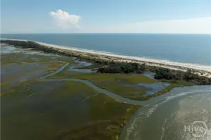 1306 Walker Rd, Sapelo Island, GA 31327 - Photo 44