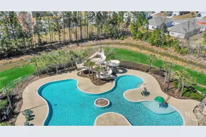173 Brickhill Circle, Savannah, GA 31407 - Photo 60
