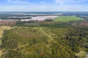 1031 Scott's Store Rd, Millen, GA 30442 - Photo 8
