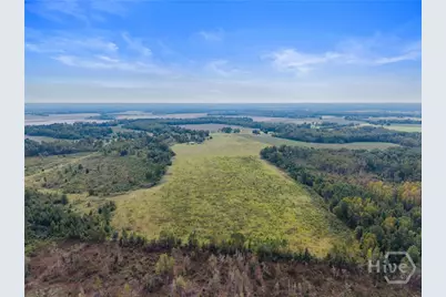 1031 Scott's Store Road, Millen, GA 30442 - Photo 12