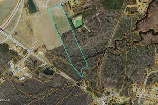 000 Poore Farm Rd, Chocowinity, NC 27817 - Photo 1