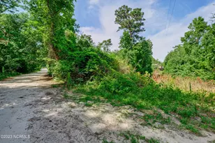 118 Riley Lewis Rd, Sneads Ferry, NC 28460 - Photo 1