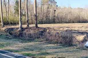 1834 Harrelsonville Rd, Whiteville, NC 28472 - Photo 1