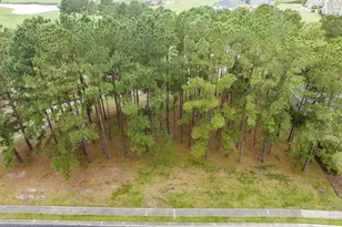 429 Crow Creek Dr NW, Calabash, NC 28467 - Photo 1