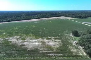 Tbd Cowpen Swamp Rd, Fairmont, NC 28340 - Photo 1