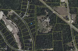 440 Thimbleberry Dr, Vass, NC 28394 - Photo 1