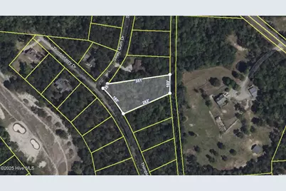 446 Thimbleberry Drive, Vass, NC 28394 - Photo 1