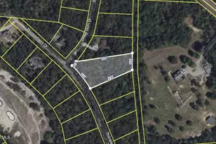 446 Thimbleberry Dr, Vass, NC 28394 - Photo 1