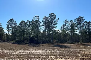 2940 W Timber Crest Ln NE, Leland, NC 28451 - Photo 1