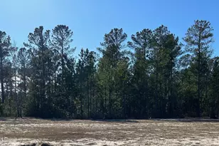3038 W Timber Crest Ln NE, Leland, NC 28451 - Photo 1