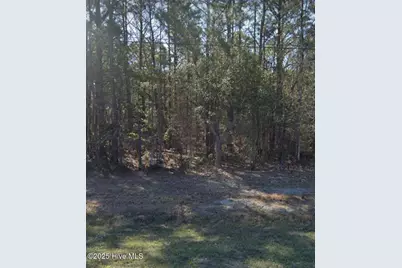 24480 US Highway 17, Hampstead, NC 28443 - Photo 1