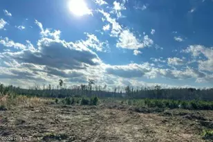 Lot 19 Good Shepherd Trail, Spring Hope, NC 27882 - Photo 1
