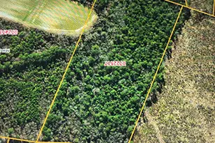000 Sutton Rd, Snow Hill, NC 28580 - Photo 1