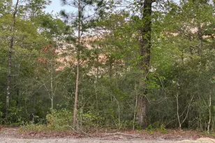 2502 Starling Ln, New Bern, NC 28562 - Photo 1
