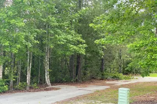 4887 Grinders Way NE, Leland, NC 28451 - Photo 1