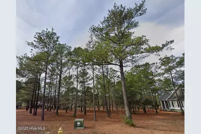 6455 Kirkwall Point SW, Ocean Isle Beach, NC 28469 - Photo 1