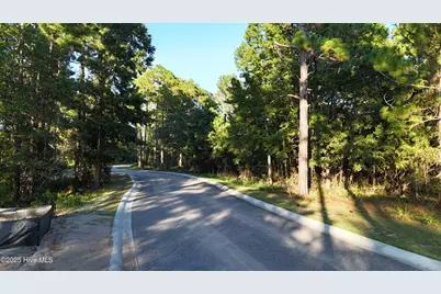 1496 Saint Lucia Drive SW, Shallotte, NC 28470 - Photo 1