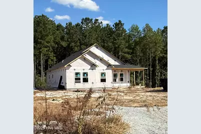 117 Trellis Lane, Vanceboro, NC 28586 - Photo 1