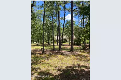 267 Watts Landing Road, Hampstead, NC 28443 - Photo 1