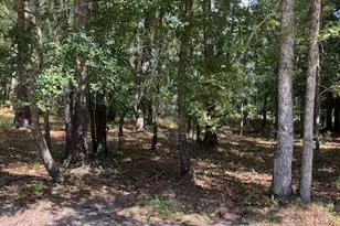 471 Shiloh Ln SE, Bolivia, NC 28422 - Photo 1