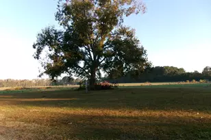 840 Wilmar Rd, Vanceboro, NC 28586 - Photo 1