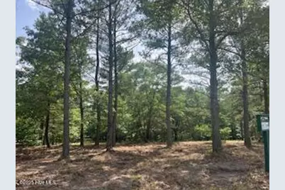 297 Cristys Circle, West End, NC 27376 - Photo 1