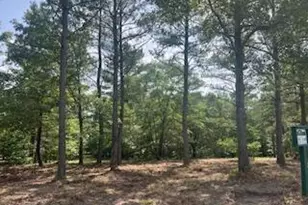 297 Cristy's Cir, West End, NC 27376 - Photo 1
