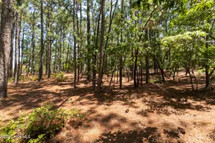 106 Brendell Ct, West End, NC 27376 - Photo 1