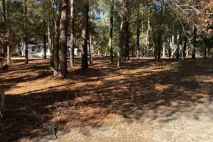 664 Cypress Grove Ct SE, Bolivia, NC 28422 - Photo 1